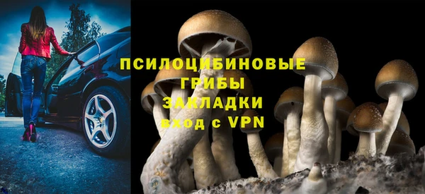 хмурый Михайловск