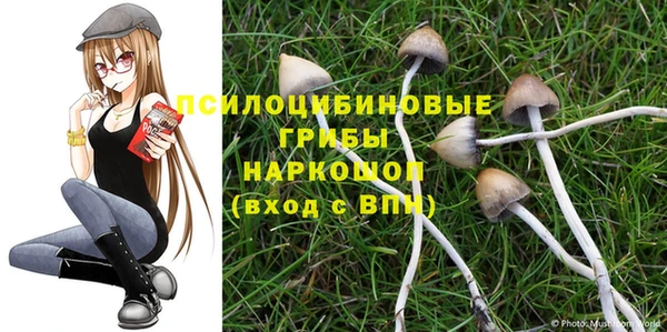 прущая мука Михайлов