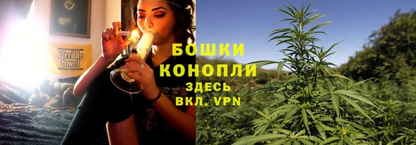 хмурый Михайловск