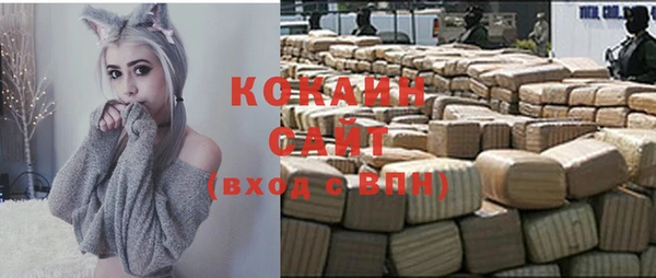 хмурый Михайловск