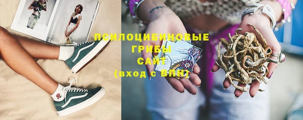 прущая мука Михайлов